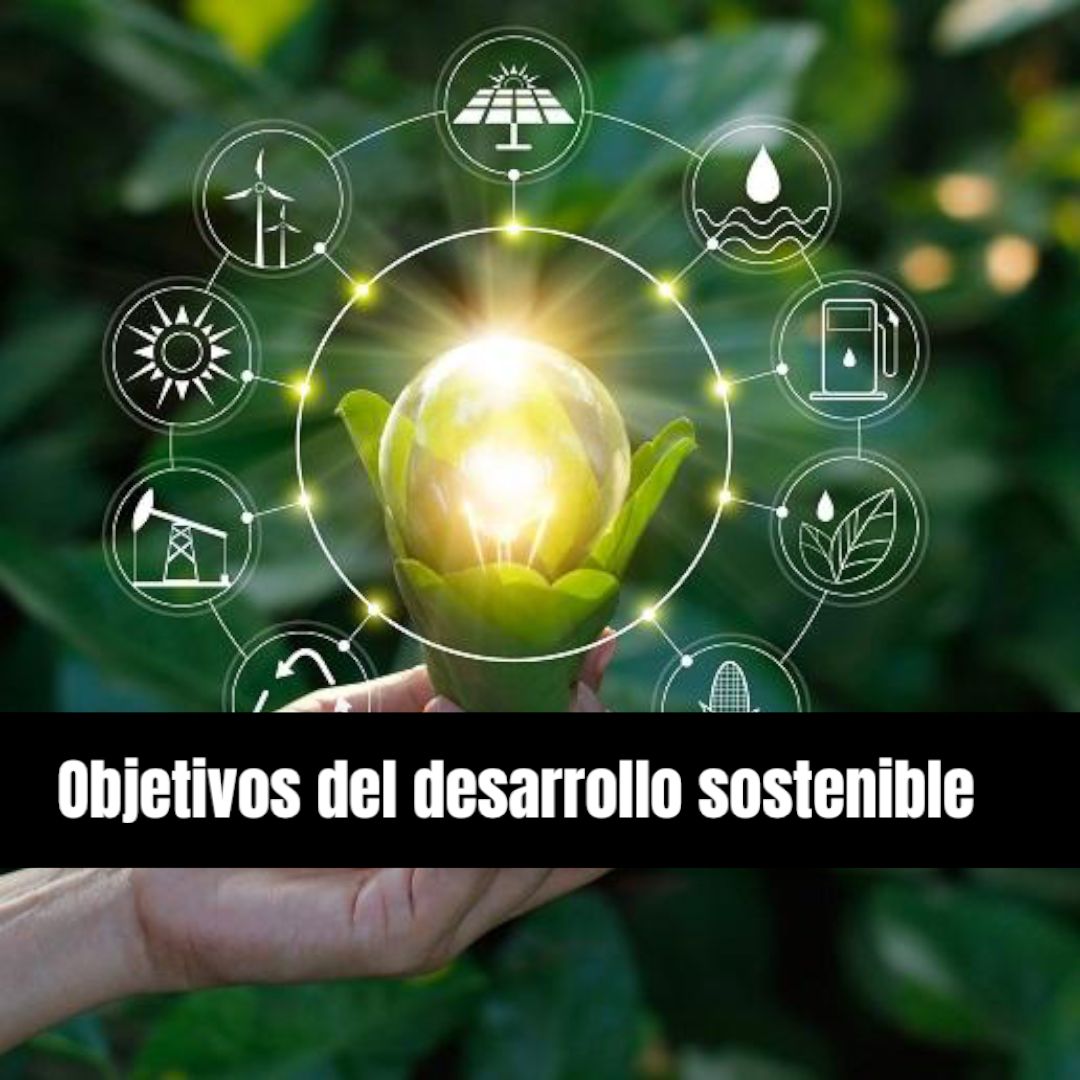 MOOC: Objetivos de Desarrollo Sostenible