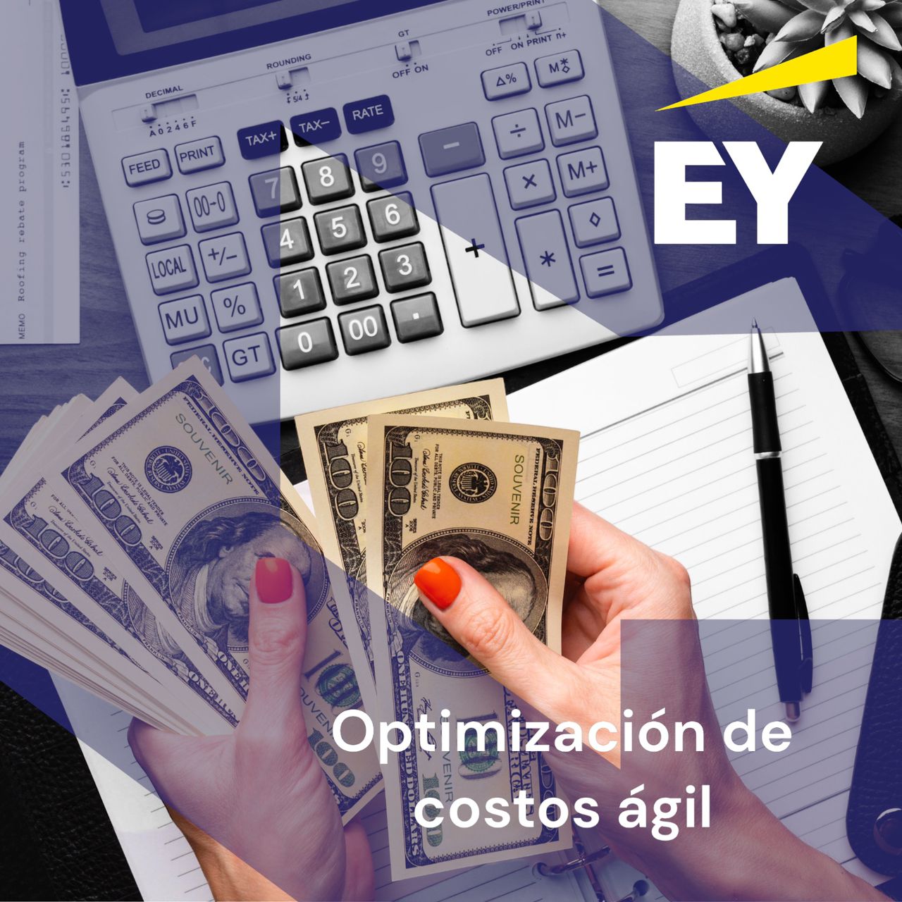 MOOC: Optimización de costos ágil