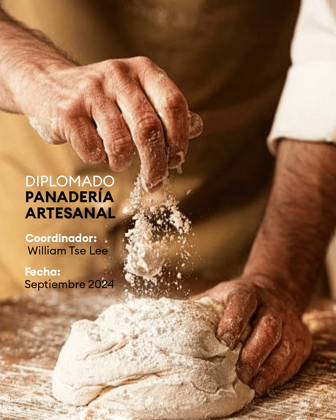 Diplomado. Panadería artesanal.